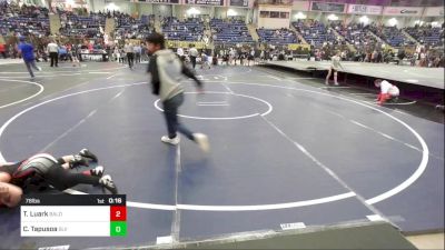 78 lbs Consi Of 4 - Tate Luark, Bald Eagle Wrestling vs Christian Tapusoa, SLV Elite