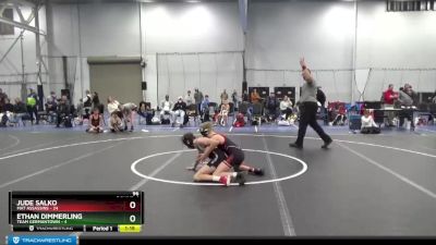 96 lbs Round 4 (6 Team) - Jude Salko, Mat Assassins vs Ethan Dimmerling, Team Germantown