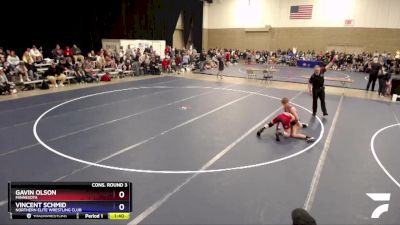 106 lbs Cons. Round 3 - Gavin Olson, Minnesota vs Vincent Schmid, Northern Elite Wrestling Club