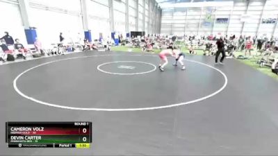 132 lbs Round 1 (8 Team) - Cameron Volz, Indiana Gold vs Devin Carter, Minnesota Red