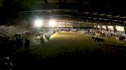 Champion Of Champions Championship Round- 2017 Duvall's Steer Wrestling Jackpot