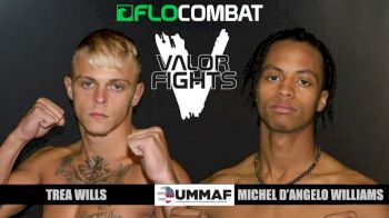 Trea Wills vs Michel DAngelo Williams UMMAF