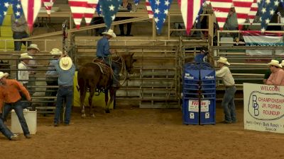 Open Tiedown- Round 2- 2017 Barry Burk's