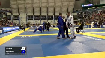 Bernardo Faria vs Valdir Araujo De Lima IBJJF 2017 World Championships