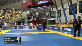 Wanki Chae vs Wellington Leal Dias IBJJF 2017 World Championships