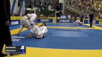 Adam Wardzinski vs Tanner Wade Rice IBJJF 2017 World Championships