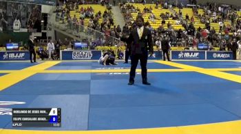 Horlando De Jesus Monteiro vs Felipe Carsalade Araujo Pena IBJJF 2017 World Championships