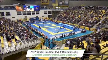 Andre Galvao vs Kit Dale IBJJF 2017 World Championships