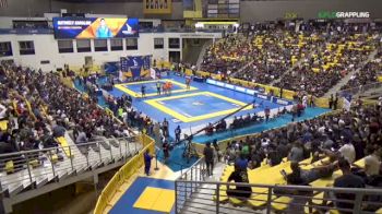 Claudia Fernanda Onofre V. Doval vs Talita Andrea Nogueira IBJJF 2017 World Championships