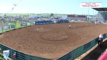 2017 IFYR - Performance 2- Pole Bending