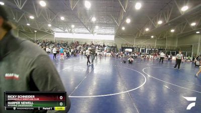 112 lbs Cons. Round 2 - Ricky Schneider, Diamondville Wrestling Club vs Harper Newell, Wyoming Underground