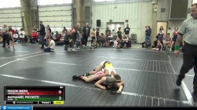 68 lbs Round 5 (6 Team) - Nathaniel Picciotti, BTWC vs Mason Biers, Virginia Patriots