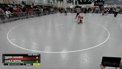 165 lbs Cons. Round 3 - Charlie Herting, Black Fox Wrestling Academy vs Tanner Casaubon, Texas