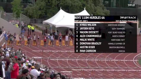 High School Boys' 110m Hurdles 6A