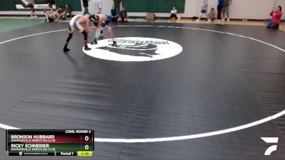 102 lbs Cons. Round 2 - Bronson Hubbard, Diamondville Wrestling Club vs Ricky Schneider, Diamondville Wrestling Club