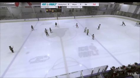 Replay: Home - 2024 Hockey Farm PW vs Wayne PW | Apr 7 @ 4 PM