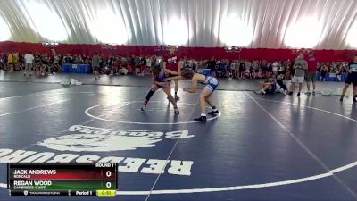 115-118 lbs Round 1 - Jack Andrews, Roncalli vs Regan Wood, Cambridge-Isanti