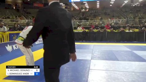 VINCE MICHAEL DENUNZIO JR vs IGOR DOMINGUEZ ANDRADE 2024 Pan Jiu Jitsu IBJJF Championship