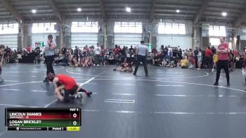 68 lbs Round 4 (6 Team) - Logan Brickley, Olympia vs Lincoln Shanks, Warhawks