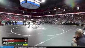 D3-138 lbs Quarterfinal - Stone Pomeroy, Random Lake vs Tristan Steldt, Fennimore