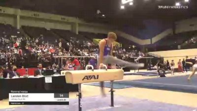 Landen Blixt - Pommel Horse, Infinity Gym MI - 2021 USA Gymnastics Development Program National Championships