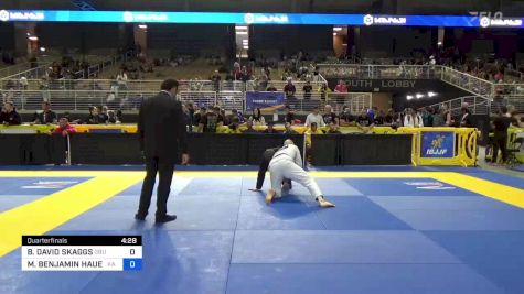 BENJAMIN DAVID SKAGGS vs MARK BENJAMIN HAUER 2024 Pan Jiu Jitsu IBJJF Championship