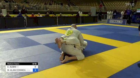 CHRISTOPHER AUBIN vs MARK ALAN COMMEAN 2024 Pan Jiu Jitsu IBJJF Championship