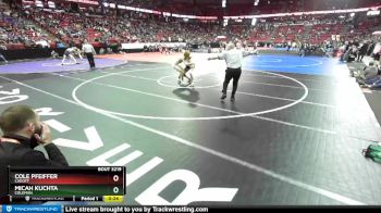 D3-160 lbs 3rd Place Match - Cole Pfeiffer, Cadott vs Micah Kuchta, Coleman