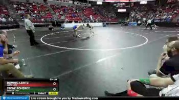D3-138 lbs Cons. Semi - Stone Pomeroy, Random Lake vs Dominic Leintz, Clear Lake
