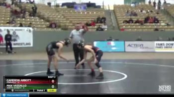 113 lbs Quarterfinals (8 Team) - Cameron Abbott, Maryville vs Max Vassallo, Dobyns Bennett