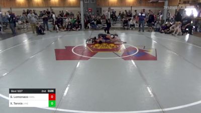 125 lbs Quarterfinal - Giovanni Lomonaco, Hawley vs Xzavion Tennis, Lykens