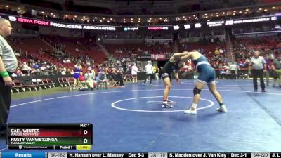 3A-220 lbs Cons. Round 5 - Rusty VanWetzinga, Pleasant Valley vs Cael Winter, Waukee Northwest