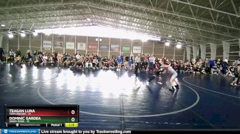 92 lbs Quarters & Wb (16 Team) - Teagan Luna, Team Oregon vs Dominic Gardea, Green River