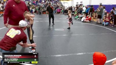 68 lbs Round 3 - Blye Cockrell, Ninety Six Wrestling vs Braydon Brinson, KC Elite Training Center