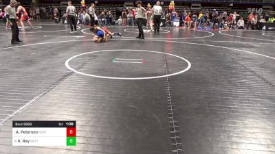 92 lbs Quarterfinal - Amelia Peterson, North Pocono vs Kameron Ray, Wattsburg