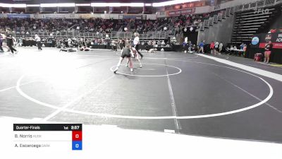 98.7-106 lbs Quarterfinal - Bristol Norris, Husky Wrestling Club vs Angelina Escarcega, Darkhorse WC