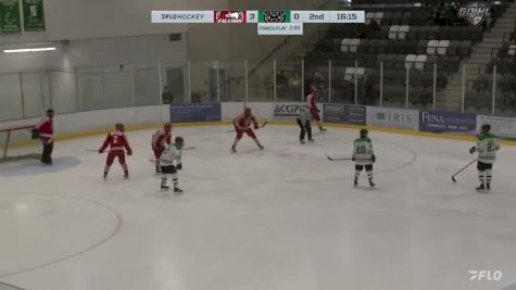 Replay: Home - 2024 St. Catharines vs Pelham | Mar 10 @ 2 PM