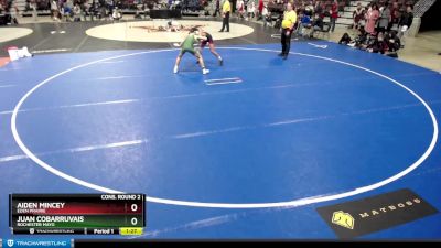 113 lbs Cons. Round 2 - Juan Cobarruvais, Rochester Mayo vs Aiden Mincey, Eden Prairie