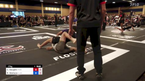 Chase Vaughn vs Reed Wallace 2024 ADCC North American Trials 2