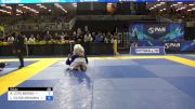 RAFAEL LEITE BORGES vs LUIZ VICTOR GREGORIANO 2024 Pan Jiu Jitsu IBJJF Championship