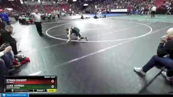 D1-113 lbs Cons. Round 2 - Ethan Eggert, Pulaski vs Luke Kamish, New Richmond