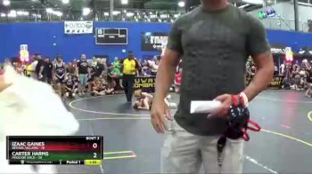 125 lbs Round 1 (6 Team) - Izaac Gaines, Revival Villains vs Carter Harms, Missouri Gold