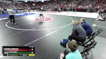 D1-126 lbs Quarterfinal - Carter Freeman, Wisconsin Rapids Lincoln vs Noah Moltzan, Hudson