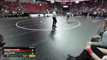 D3-170 lbs Champ. Round 1 - Nathan Blaschke, Fennimore vs Dion Helser, Shiocton