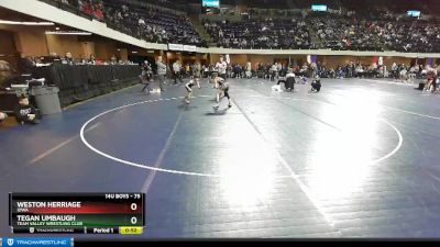 75 lbs Cons. Round 3 - Tegan Umbaugh, Team Valley Wrestling Club vs Weston Herriage, Iowa