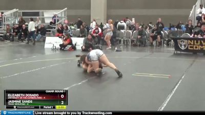 109 lbs Round 1 (16 Team) - Jasmine Sands, Texas Wesleyan vs Elizabeth Dosado, University Of The Cumberlands