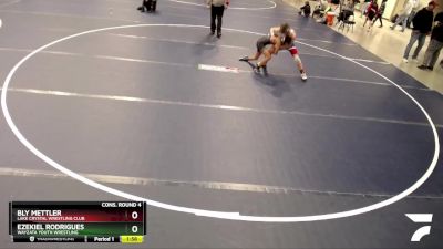 102 lbs Cons. Round 4 - Bly Mettler, Lake Crystal Wrestling Club vs Ezekiel Rodrigues, Wayzata Youth Wrestling