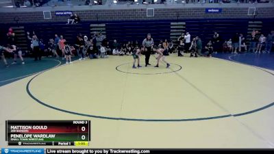 65 lbs Round 3 - Mattison Gould, 208 Badgers vs Penelope Wardlaw, Small Town Wrestling