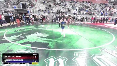 73 lbs Champ. Round 1 - Brooklyn Carter, WA vs Addison Rodriguez, AK