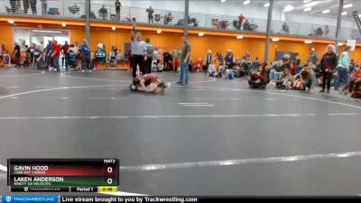 58 lbs Semifinal - Gavin Hood, Cane Bay Cobras vs Laken Anderson, Ninety Six Wildcats